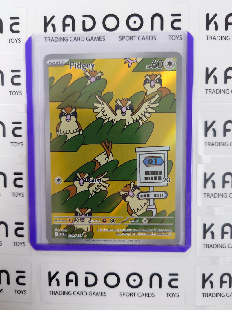 Pokemon Pidgey 207/197
