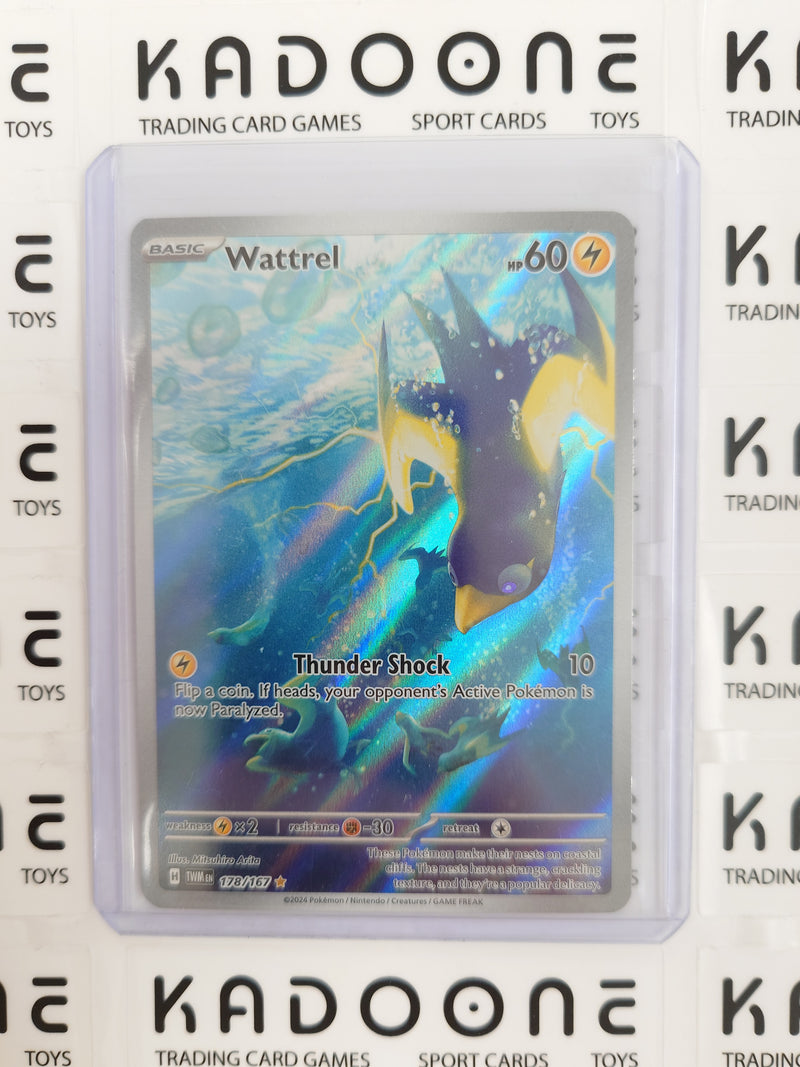Pokemon Wattrel 178/167