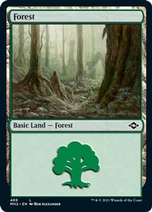 Forest (489) (Foil Etched) (MH2-489) - Modern Horizons 2 Foil