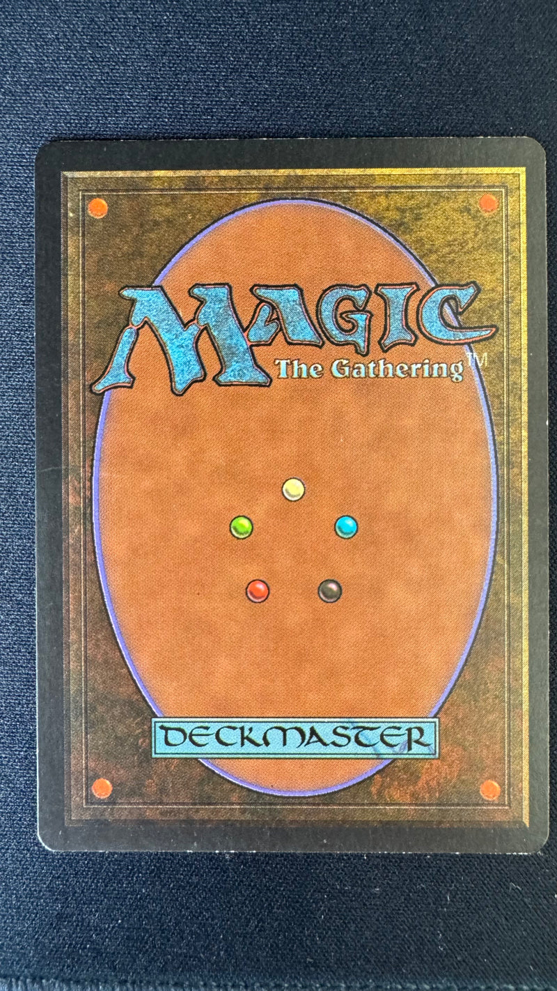 Scrubland (3ED-) - Revised Edition（LP+）