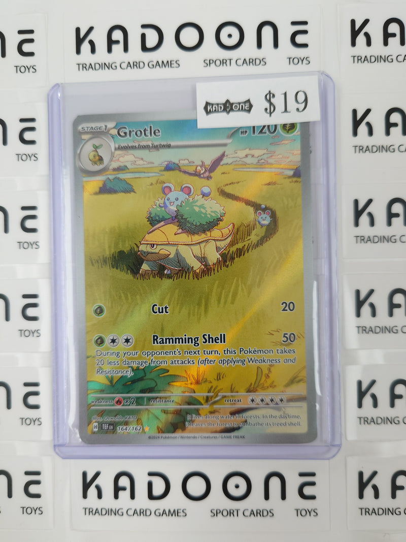 Pokemon Grotle 164/162