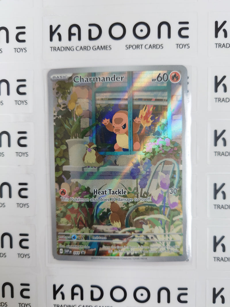 Pokemon Charmander 044