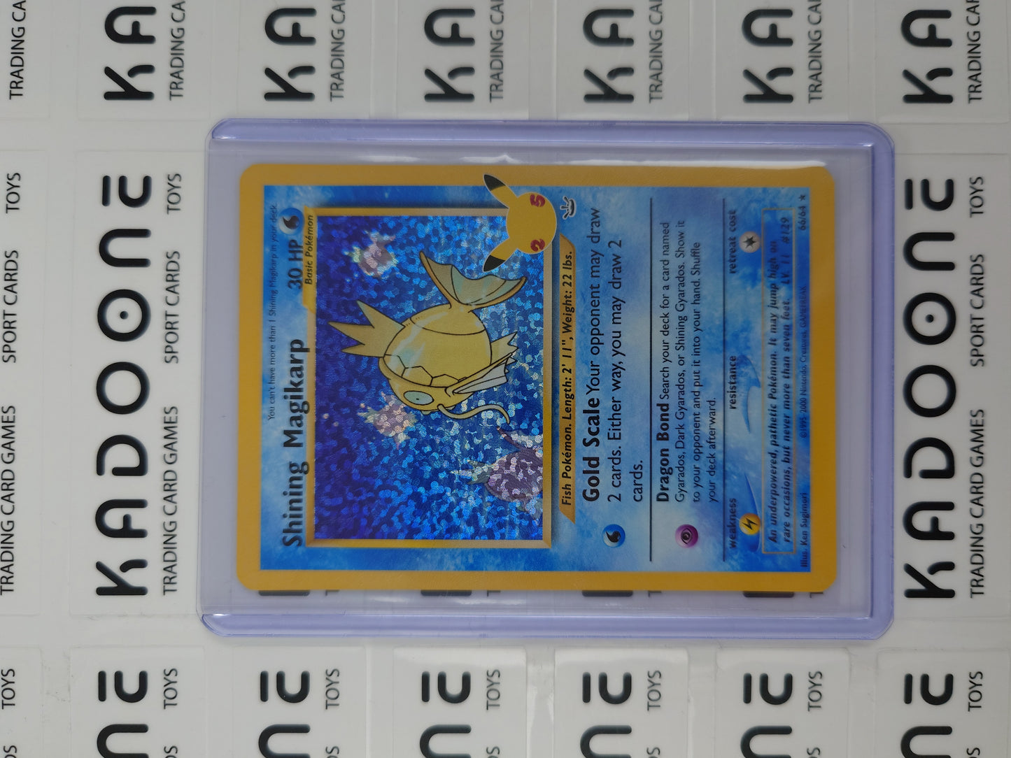 Pokemon Shining Magikarp 66/64